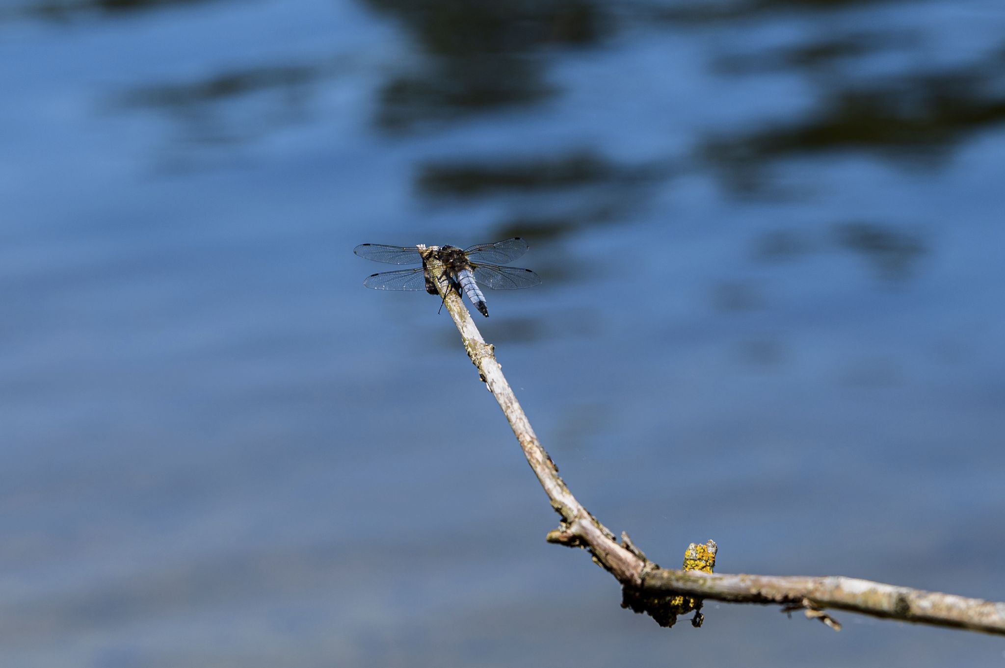 Kajaktour Staffelsee 12.06.22